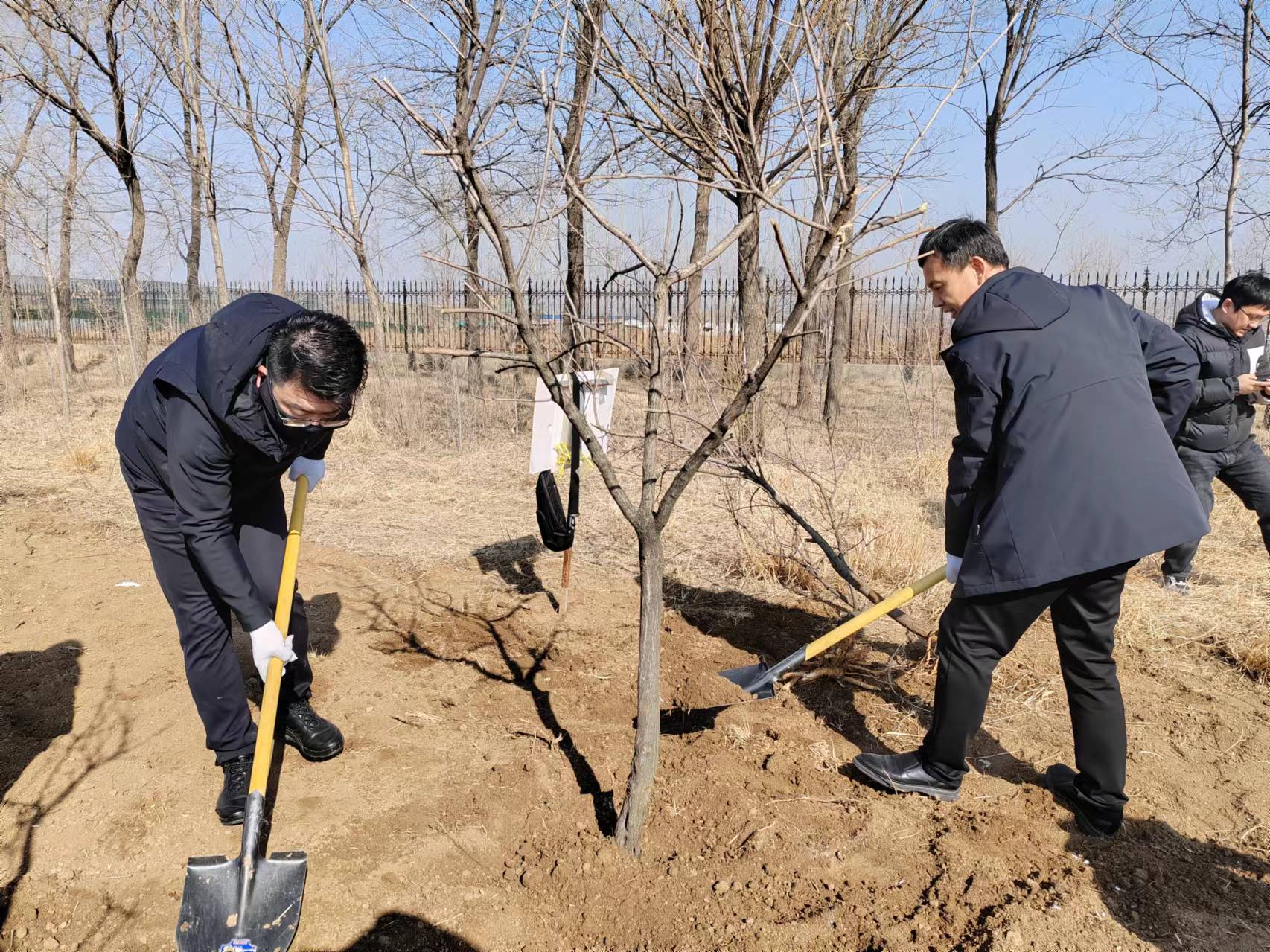 ?華遠(yuǎn)公司組織開展義務(wù)植樹活動