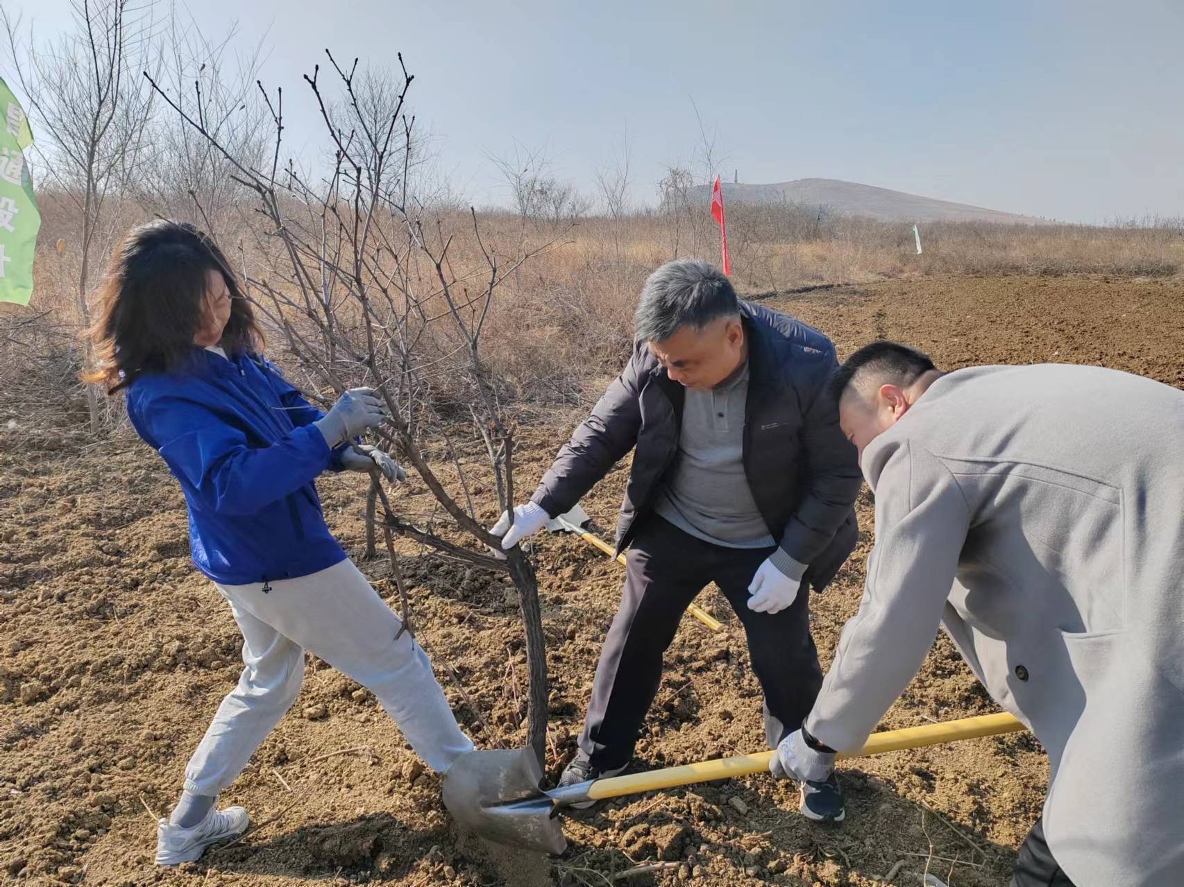 ?華遠(yuǎn)公司組織開展義務(wù)植樹活動